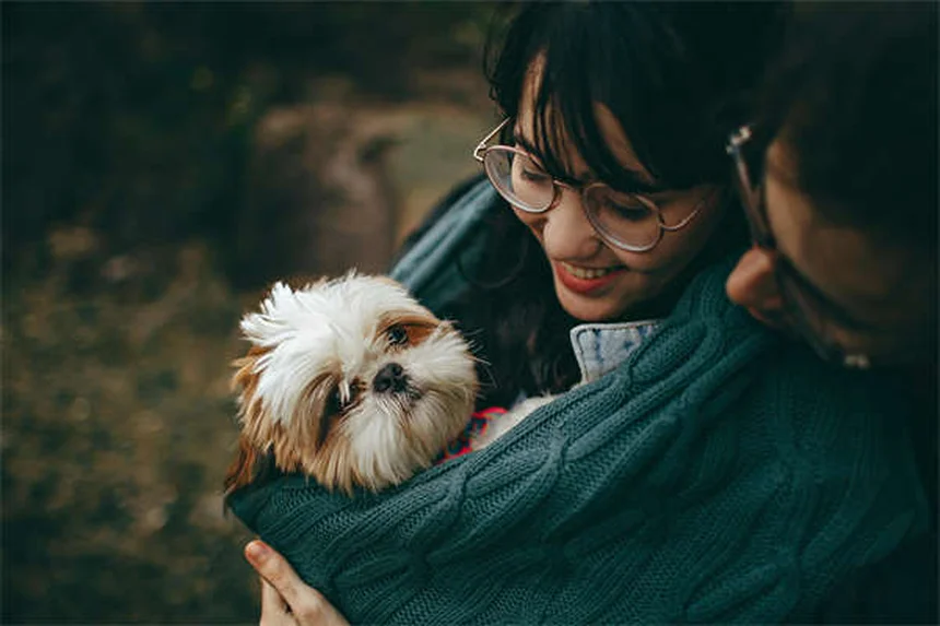 How to Give Your Dog or Cat Insulin Shots Like a Pro